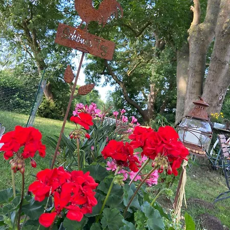 St Moritz Quadenschoenfeld Homestay *